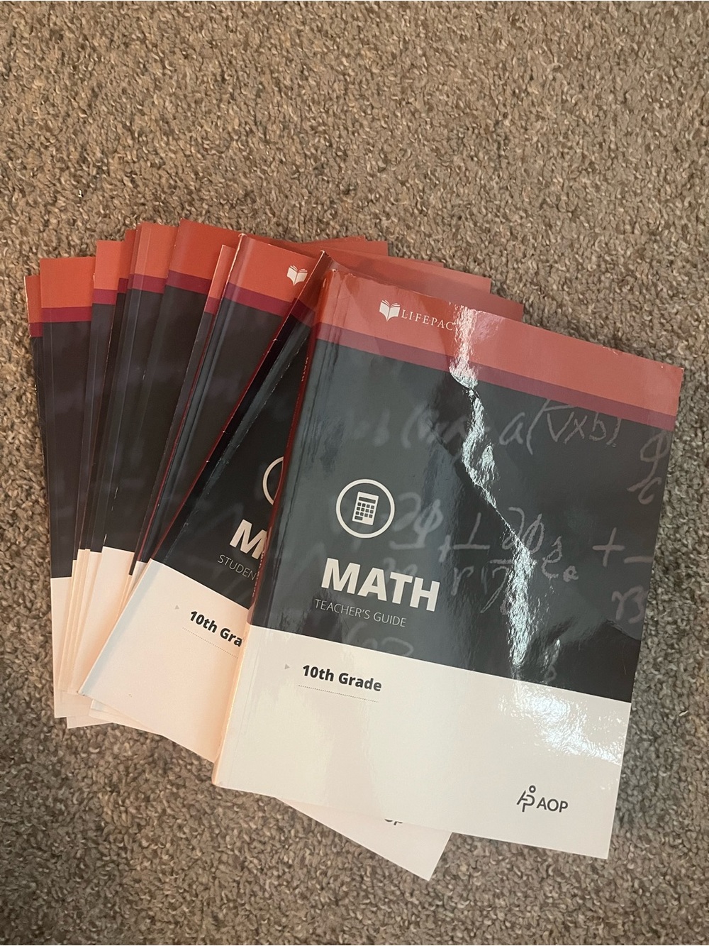 LifePac AOP 10th Grade Math Teacher's Guide and student books